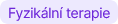 Fyzikální terapie