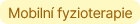 Mobilní fyzioterapie