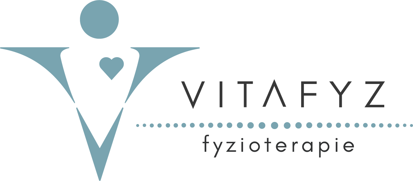 Vitafyz logo